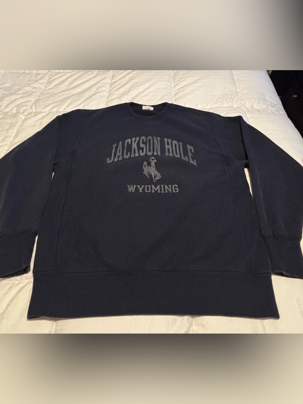 Champion Reverse Weave Jackson Hole, Wyoming Crewneck Sweatshirt Large